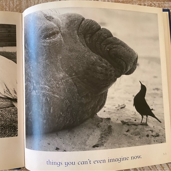 🌀The Blue Day Book🌀 by Bradley Trevor Grieve - Picture 6 of 6